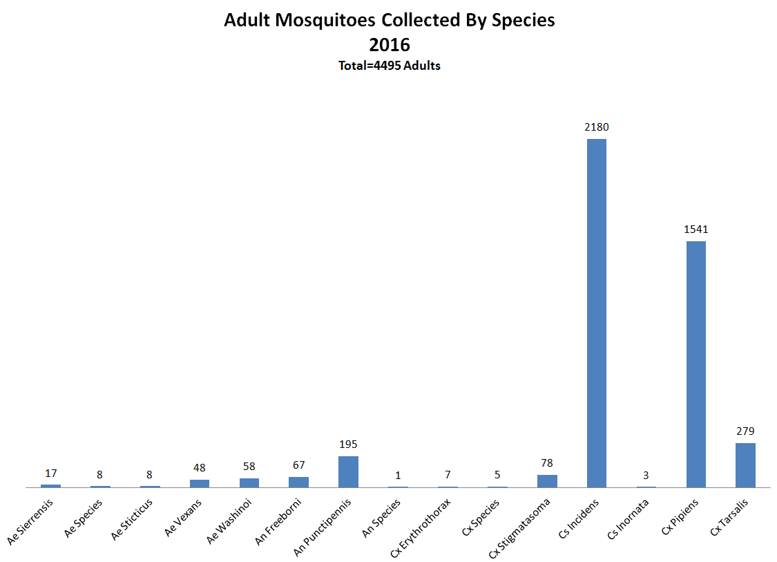 Adult Mosquitoes Collected By Species - 2016